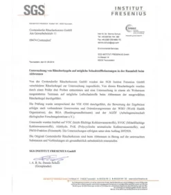 Cone D'Encens Senteur Orange De Noël