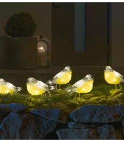 Oiseaux Lumineux Led En Acrylique, 5 Chardonnerets