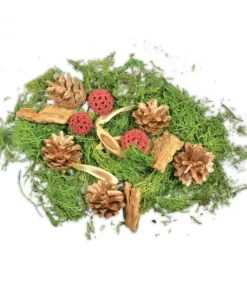 Pot Pourri Melange Pomme De Pin, Mousse, Foret, 80 G